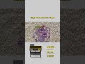 15 seconds: Watch the UV direct printing machine in action. #printing #printer#uvprinters #factory