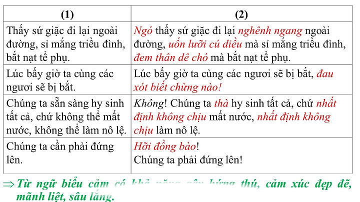 Cách đưa yếu tố biểu cảm trong văn nghị luận năm 2024