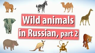 Wild Animals In Russian. Part 2.