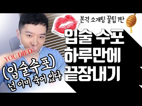 [소개팅꿀팁1탄] 입술 수포 하루만에 없애는 꿀팁 공개!!!