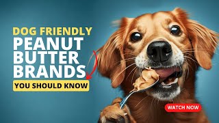 Dog Friendly Peanut Butter Brands Every Dog Owner Should Know