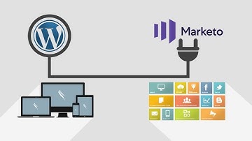 Wordpress-Marketo  Connector