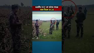 Bangladesh Border Guards Warn BSF Against Illegal Actions at the Border
