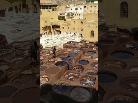 دار الدباغ بفاس مدينة قديمة منبع الجلد المغربي الأصيل