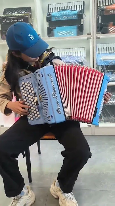 keyboard accordion/Bayan accordion.
