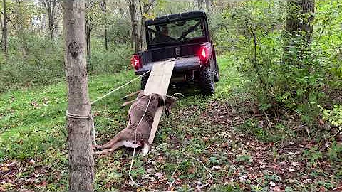 Deer Loading Made Easy