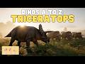 ASL Dinos A to Z: Triceratops