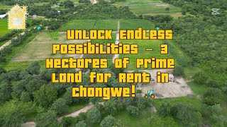 🌿 Massive 3-Hectare Farm for Rent in Chongwe – Perfect for Agriculture & Business! 🚜