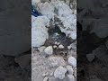 Ojito de agua en el cerro de la bufa en Real de Asientos