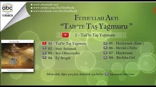 Fethullah Aktı - Haykırsam (Enst.)