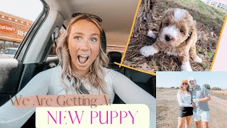 We Are Getting A Mini Golden Doodle! // Prepping For A New Puppy