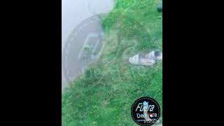 doradon de mí río Dulce Santiago del estero Capital en Cardozo