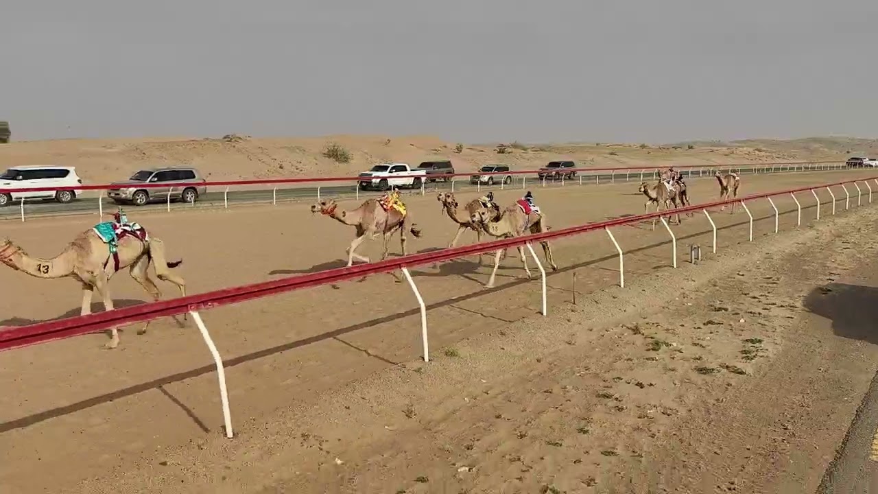 ش11هملوله - ابراهيم سالم العويني العليلي 13:17