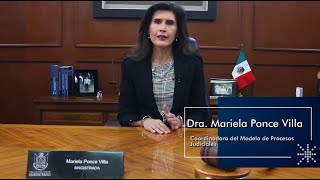 Modelo De Procesos Judiciales Un Sistema De Gestión Judicial Administrativo Sano