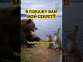 СЕКРЕТ МЕДВЕДЯ - #нейросеть #ai #юмор #мем #funny #смешныеживотные #hailuoai #hailuo02 #minimax