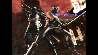 Lets Play Ninja Gaiden Black Master Ninja Chapter 4