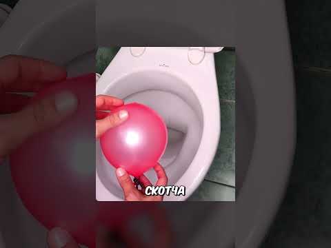 Положил Шарик В Унитаз И…#shorts