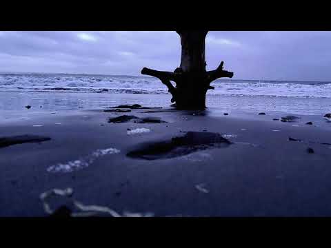 Walk With Me Under Lavender Skies