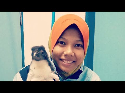 Video: Berapa pendapatan ahli zoologi?