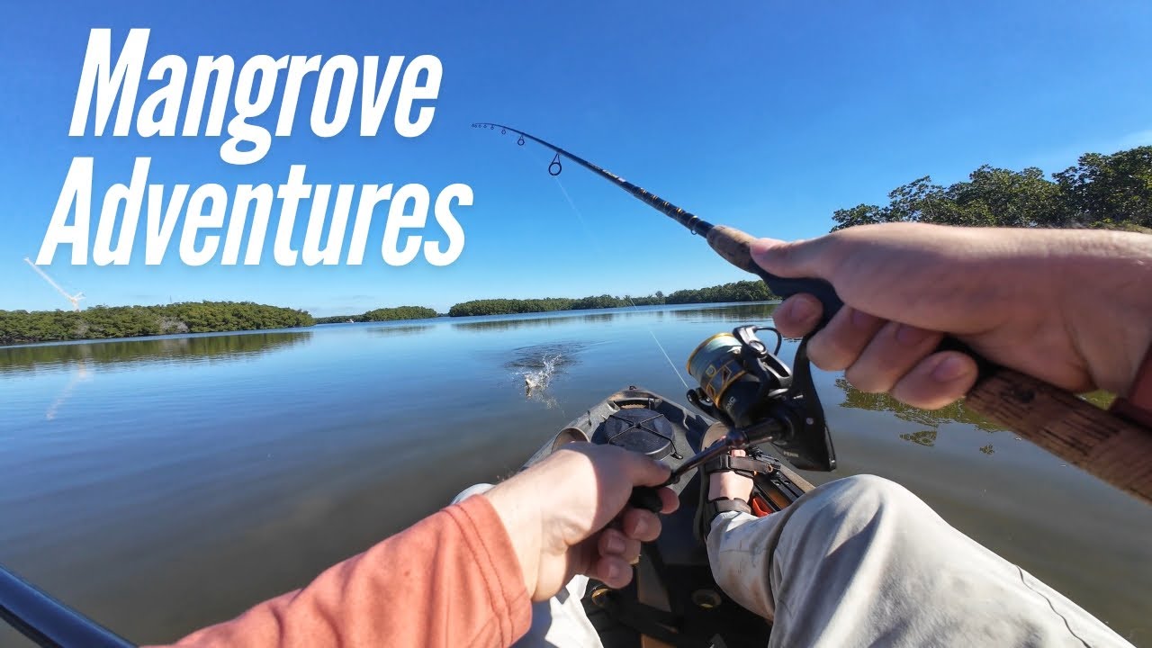 Finding Abandoned Boats and Catching Fish