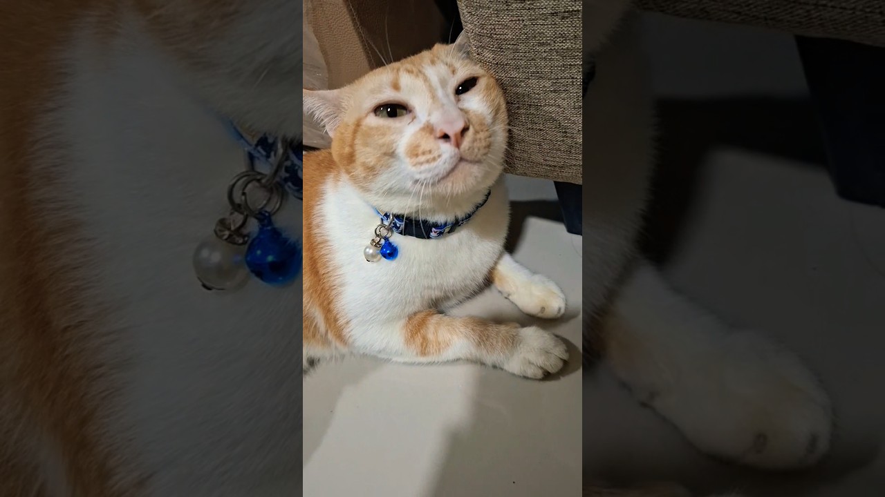 บำบัดความเครียด