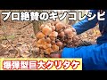 超巨大爆弾型のクリタケを見つけたのでプロも絶賛するキノコ料理を作ってみた！