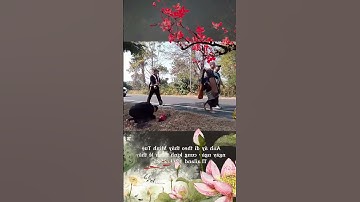 Cảm động hình ảnh phật tử đảnh lễ sư Minh Tuệ 12/1 khi đoàn bộ hành ngang qua cung đường làng