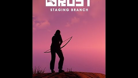 Что такое Staging branch rust