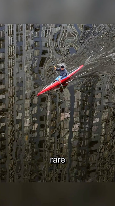 Incredible Rare Photos You Never Knew Were Real [Part 21]