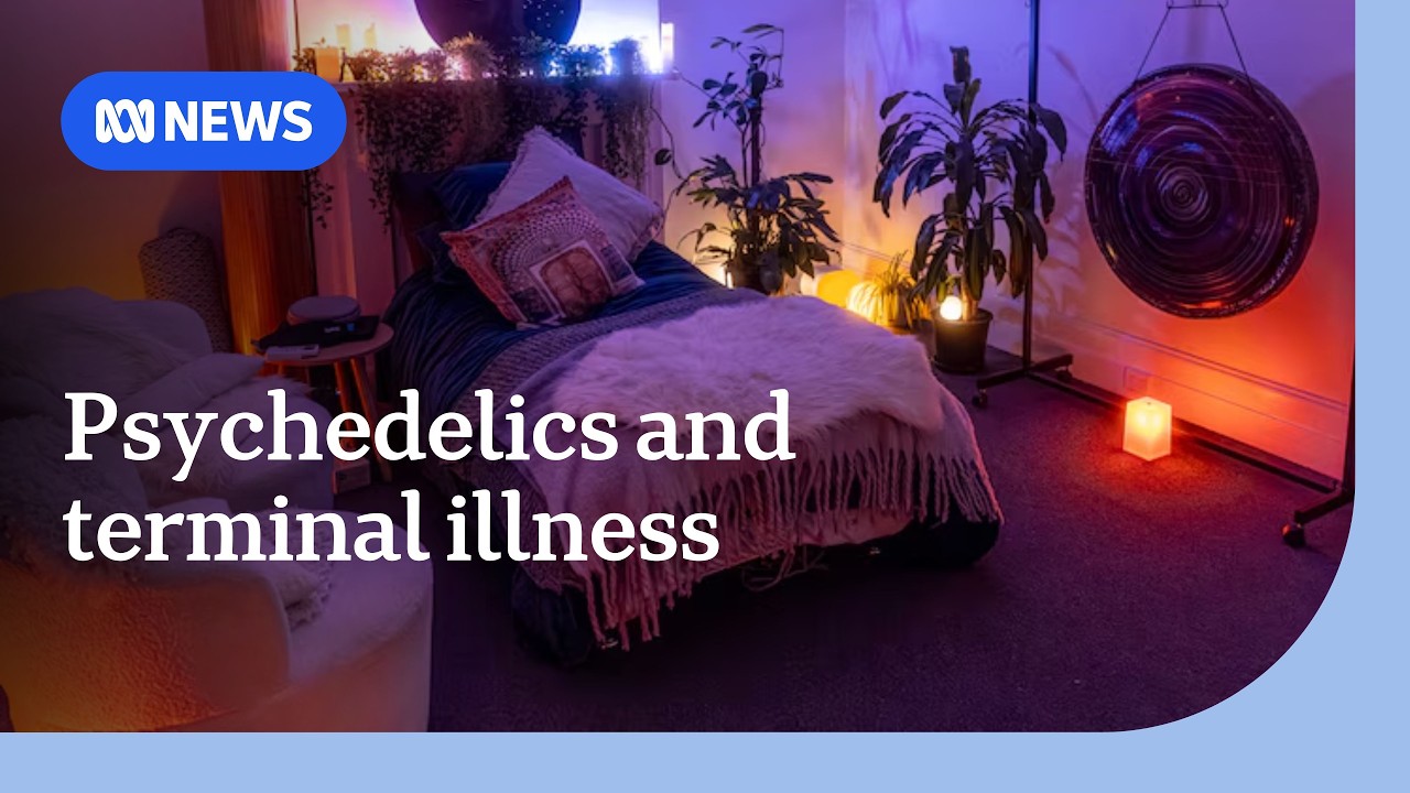Psychedelics with therapy boost quality of life for terminally ill ...