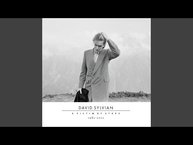 デイヴィッド・シルヴィアン&坂本龍一体内回帰 DAVID SYLVIAN 坂本龍一 HEARTBEAT 胎内回帰 デヴィッド・シルヴィアン