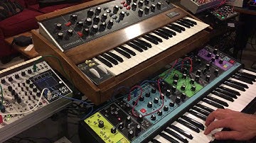 Matriarch Mini Comparison