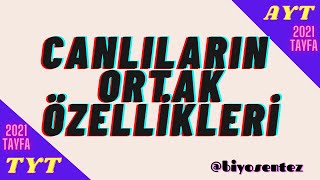 Canlilarin Ortak Özelli̇kleri̇ 1