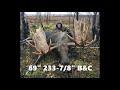 Alaska Yukon Moose Hunt - Boone and Crockett - 233-7/8"