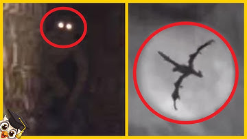Top 10 Mythische Wezens Op Camera Vastgelegd