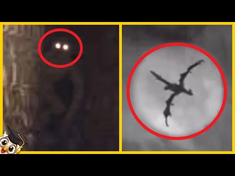 Video: Draken. Mysterie Van De Verdwenen Monsters - Alternatieve Mening
