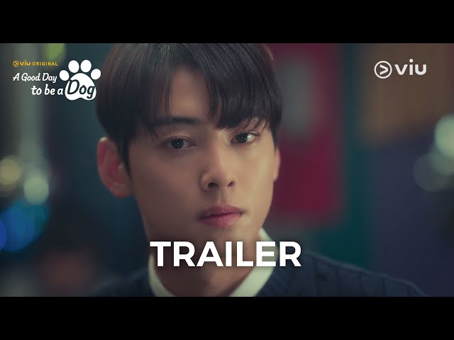 Astro's Cha Eun-Woo Kisses a Dog in A Good Day to Be a Dog K-Drama: 'Hard  to Focus' Astro's Cha Eun-Woo Kisses a Dog in A Good Day to Be a Dog