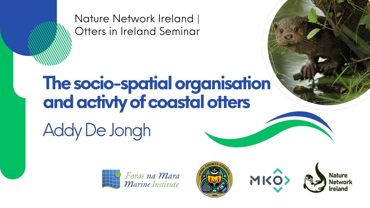 Otters in Ireland Seminar | Socio-Spatial Organisation and Activity of Coastal Otters -Addy De Jongh