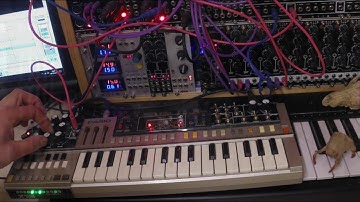 X1L3 - circuit bent Casio PT-50 with midi retrofit - C64 Knuckle Busters theme