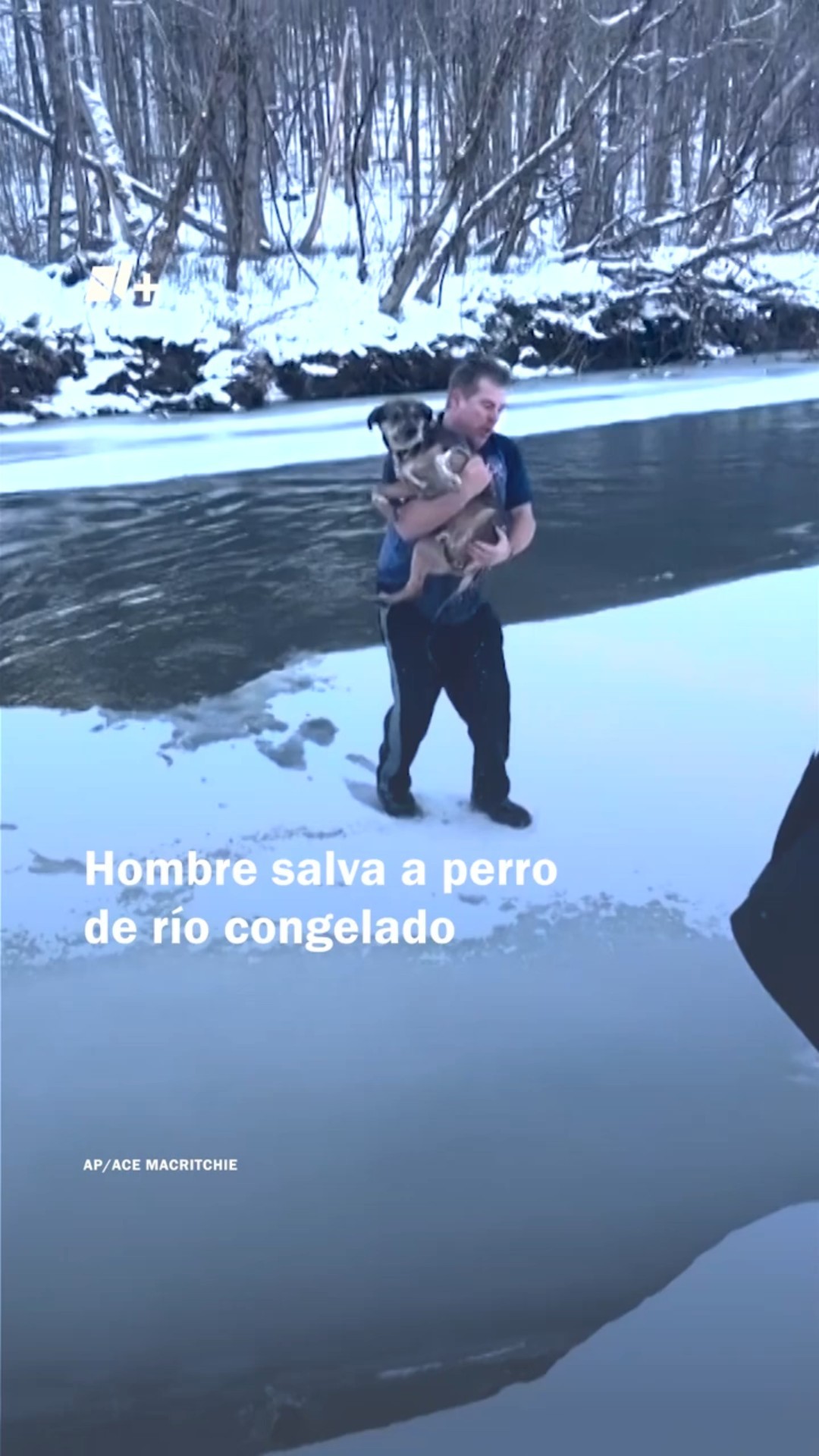 Hombre salva a un perro de un río congelado #nmas #shorts #eua