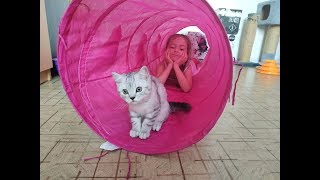 КОТЫ И ДЕТИ 😻 КОТЕНОК ИГРАЕТ В ТОННЕЛЕ С РЕБЕНКОМ Шотландский кот и ребенок 🐱 Cat playing kitten КОТЫ И ДЕТИ 😻 КОТЕНОК ИГРАЕТ В ТОННЕЛЕ С РЕБЕНКОМ Шотландский кот и ребенок 🐱 Cat playing kitten