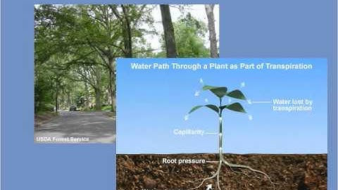 Weather and the Built Environment Unit 3 (Part1)