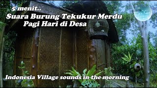 Suara Burung Tekukur di Desa | Relaxing Bird Sound in Indonesia Village | Suara Pagi di Pedesaan