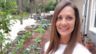 Florida zone 9 fall garden tour |2020| episode 5