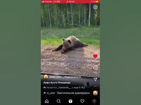 Как доехать до УФЫ 😂 - YouTube