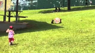 Ple De Fabiana Velez - 2 Añitos