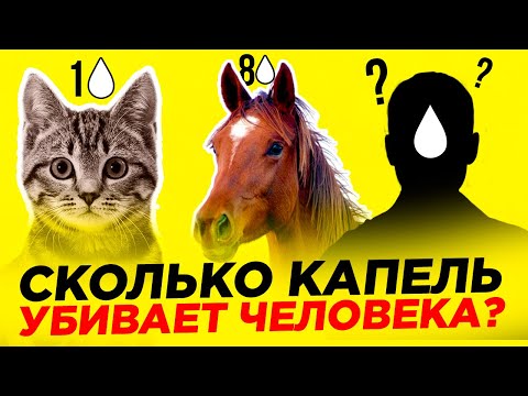 Сколько Капель Никотина Убивает Человека? (Влияние Никотина на Организм)