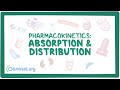 Pharmacokinetics: Drug absorption and distribution