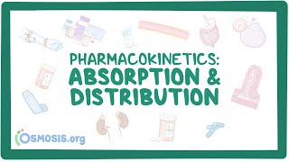 Pharmacokinetics: Drug absorption and distribution