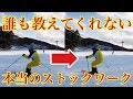 【え！そうだったの？！】正しいストックワークで格段にスキーレベルアップ！！